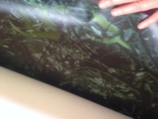 12 foot by 8 foot  woodland wall mural - image by Bates Littlehales 