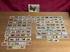 British Butterflies &