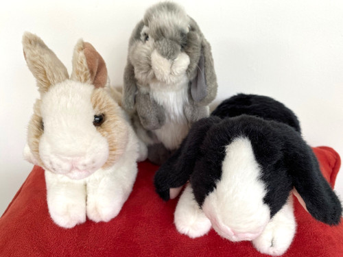 Bunnies dutch lop eared - 3, x