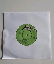 X Ray Spex - The Day The World