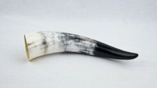 Genuine natural cow - natural, horn