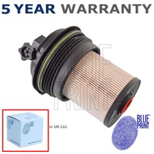 Fuel Filter Blue Print Fits
