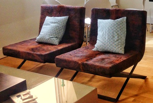 Brazillian luxury designer cow