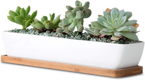 11inch long rectangle - long, white
