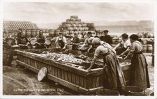REAL PHOTO POSTCARD OF HERRING GUTTERS, WICK, CAITHNESS, SCOTLAND