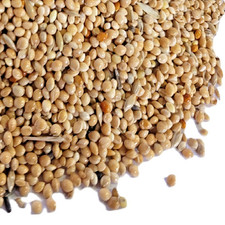 Foreign finch seed 350g 1kg - seed,