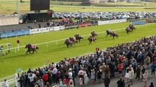 100 successful horse racing - 100%,