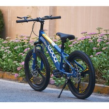 20" Brand New 20 inch Bike Boys Blue Bicycle Cycling Disc Brake Kids Xmas Gifts