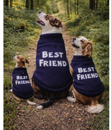 Bella freud dog - freud,