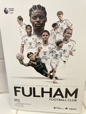 Fulham u16 tottenham hotspur - fulham,