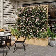 65" Cedar Privacy Screen w