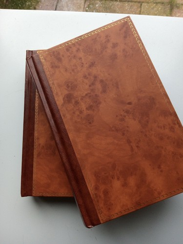 Charles dickens our mutual - dickens,