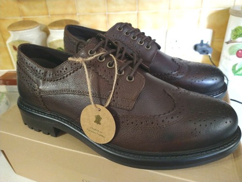 Leather brogues osprey of - brogues,