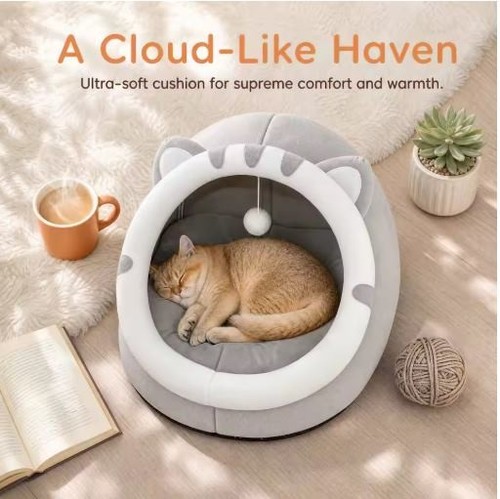 Pet cute cat - warm, house