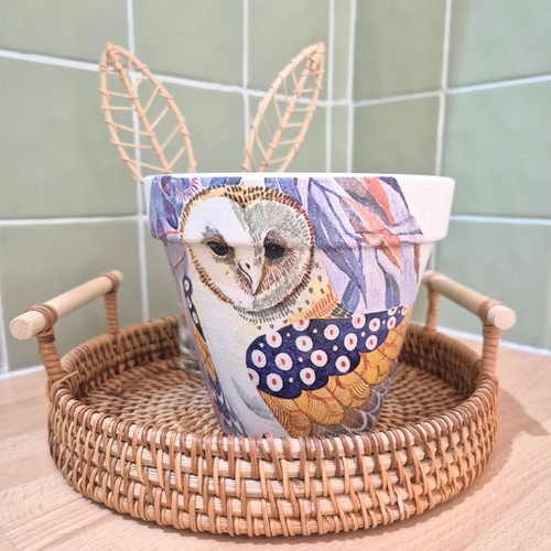 Pretty owl plant - owl, |
