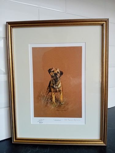 Framed border terrier ltd - framed,