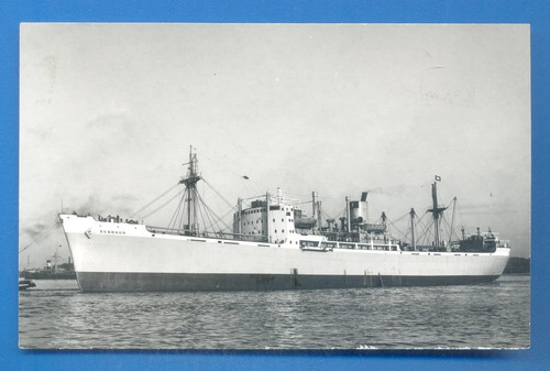 Benmhov benline photograph x - 9,