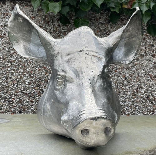 Boar pig head - pig, hand