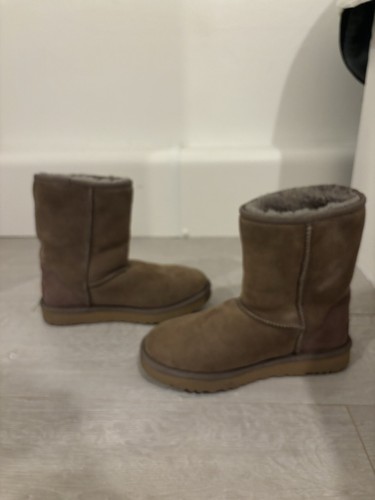 Ugg boots caribou - ugg,