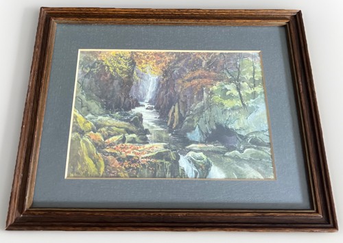 Fairy glen betws y - betws,