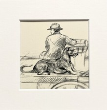 Irish Wolfhound dog sketch