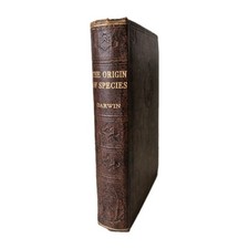 The origin species - origin, of