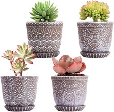 Succulent Pots, 4 Inch Small