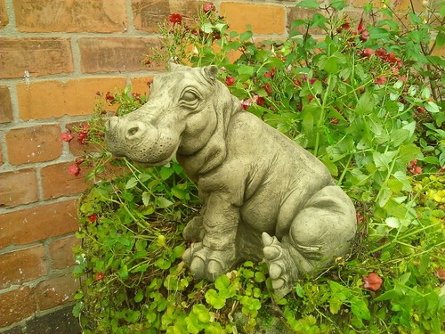 Stone garden hippopotamus - stone,