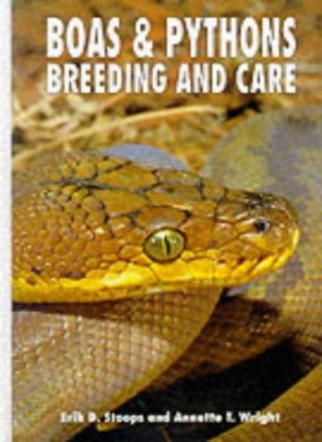 Boas and pythons breeding - and,