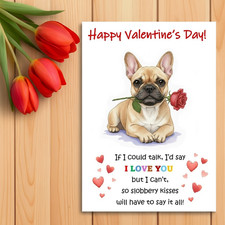 French Bulldog fawn Dog