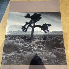 U2 The Joshua Tree Official