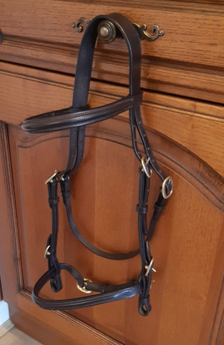 Inhand bridle brown pony - brown,