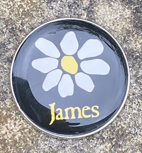 James indie rock band pin