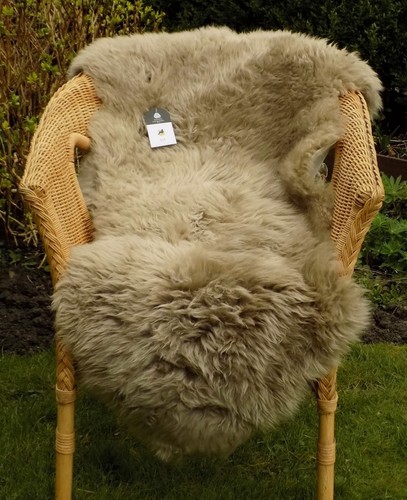 Extra large light - light, taupe