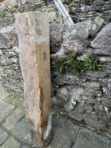 Reclaimed solid pine beam - ,