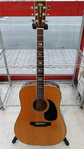 Morris acoustic guitar 60 - morris,