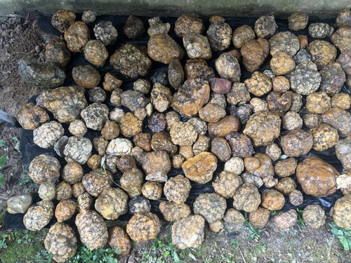 Lbs kentucky geodes agates - lbs,