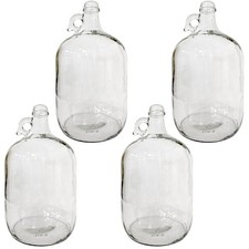 Glass Jug 1 Gallon Carboy