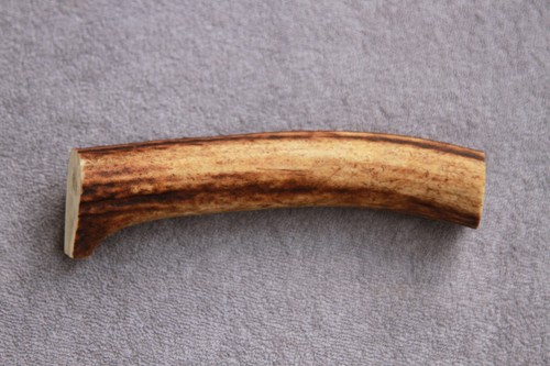 Real red deer antler section - red,