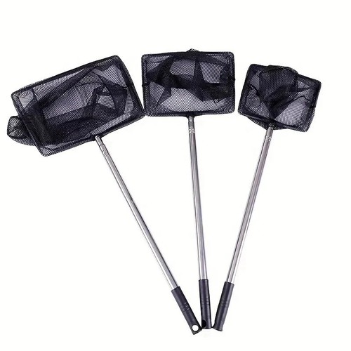 Pond net catch fish debris - fish, &