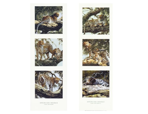 Leopard art print spencer - leopard,