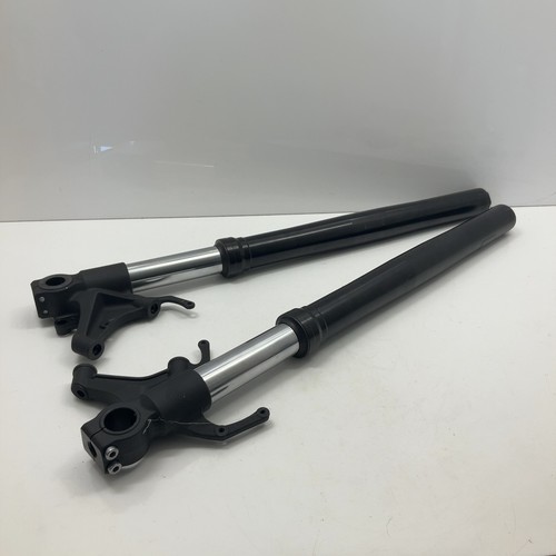 Yamaha yzf 1000 2020 2025 - yzf, r1