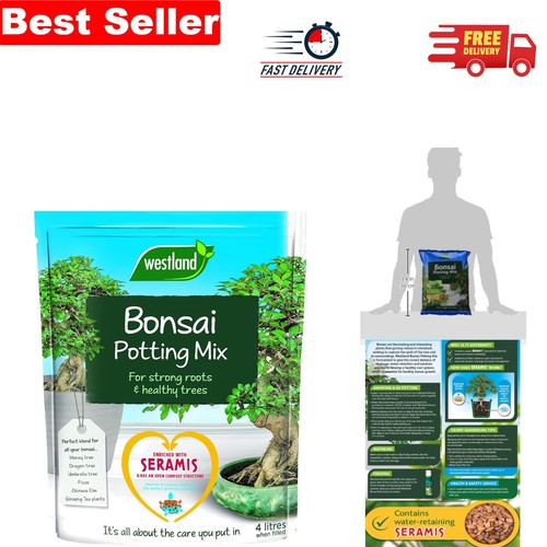 Healthy plant potting compost - plant,