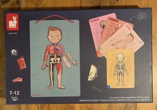 Janod Body Magnet Anatomy