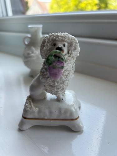 Staffordshire poodle with - poodle,