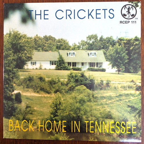 The crickets back home - crickets, in