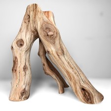 13.75" Manzanita Driftwood