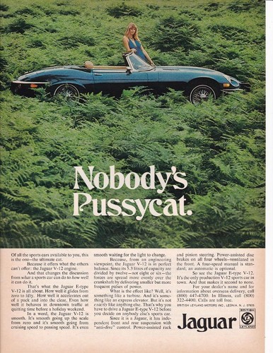 Beautiful rare 1974 - beautiful, jaguar