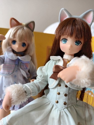 Bundle azone doll - bundle, a