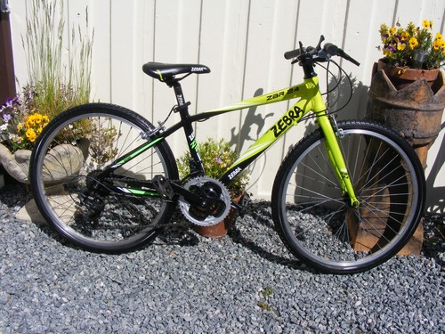 Boys girls zebra bike - boys,